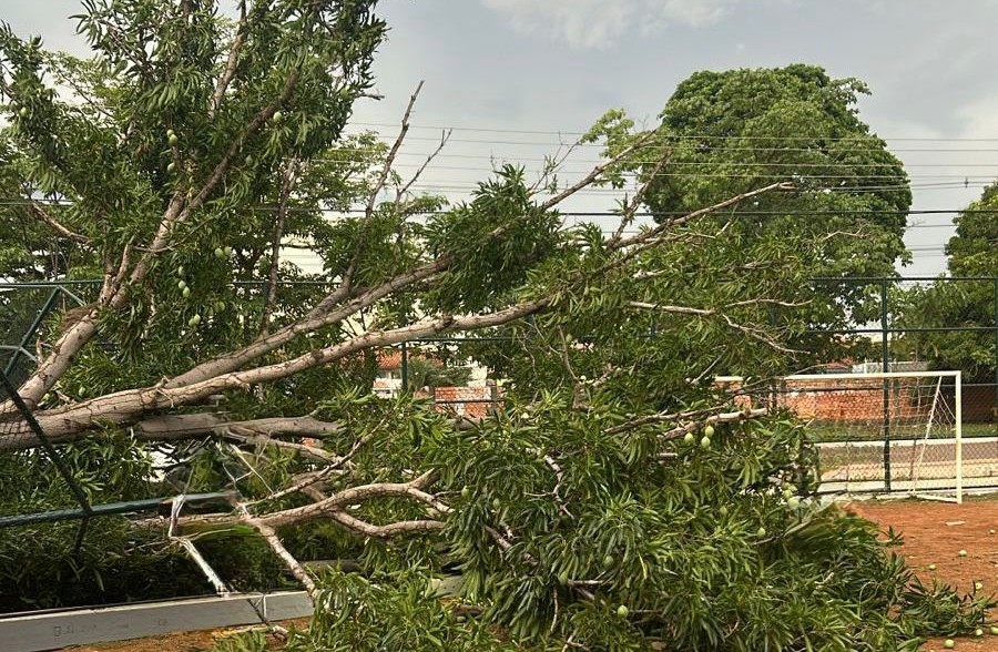 Prefeitura conta com uma equipe técnica pronta para atender chamados 