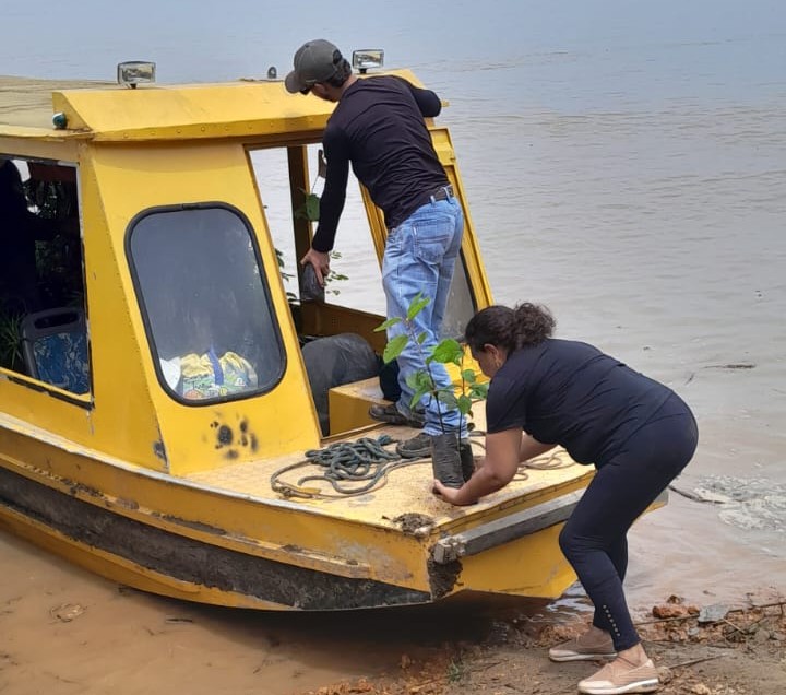 Iniciativa contempla o plantio de espécies nativas e adaptadas ao clima amazônico