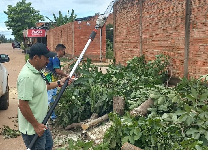 Sema se deslocou ao local para executar o corte do tronco e a retirada dos galhos