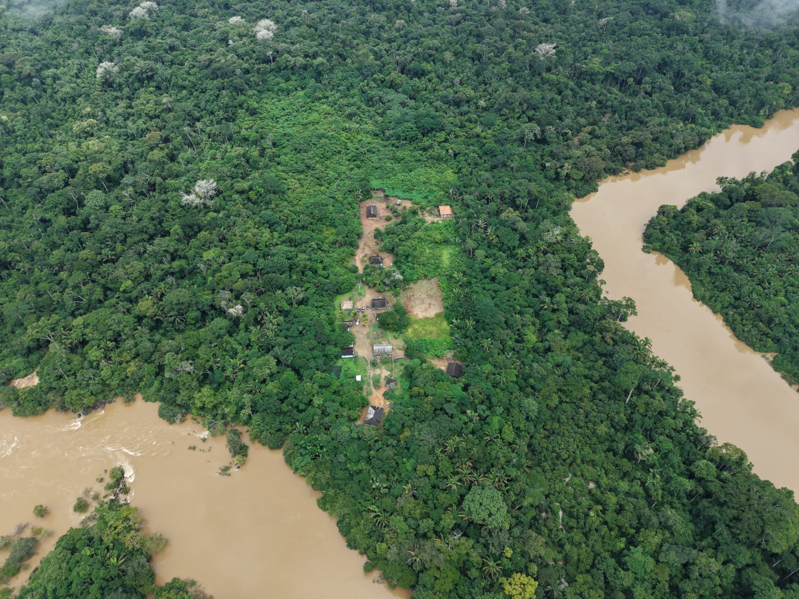 Prefeitura participou da aquisição e distribuição de 10 toneladas de sementes nativas coletadas pela comunidade Karitiana