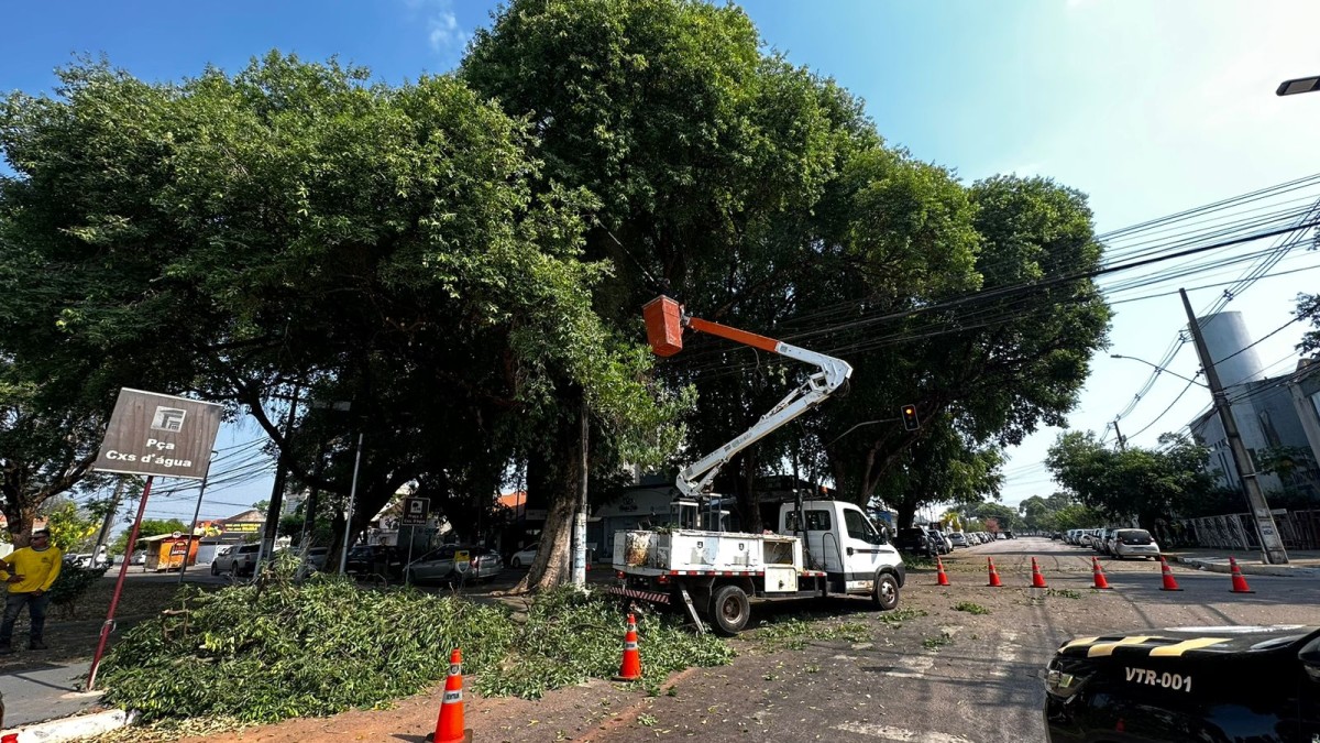 Normativa também veda qualquer intervenção que destrua ou exponha ninhos, ovos, filhotes ou abrigos naturais