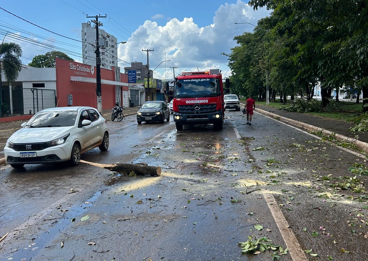 Sema destaca que o acionamento correto do serviço contribui para respostas mais rápidas
