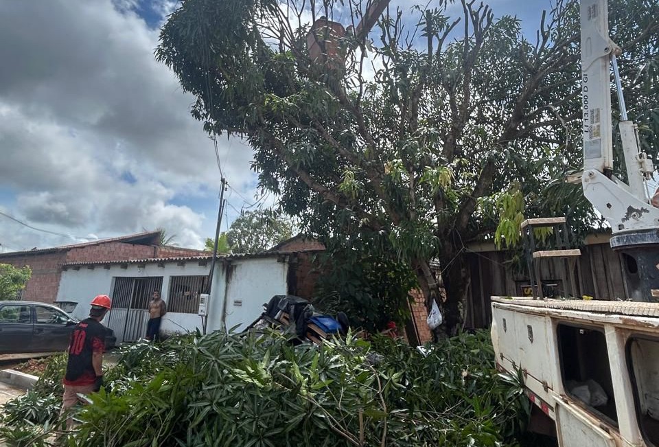 Trabalho foi realizado pela Sema, com apoio da Seinfra, que removeu galhos e fez a limpeza do local