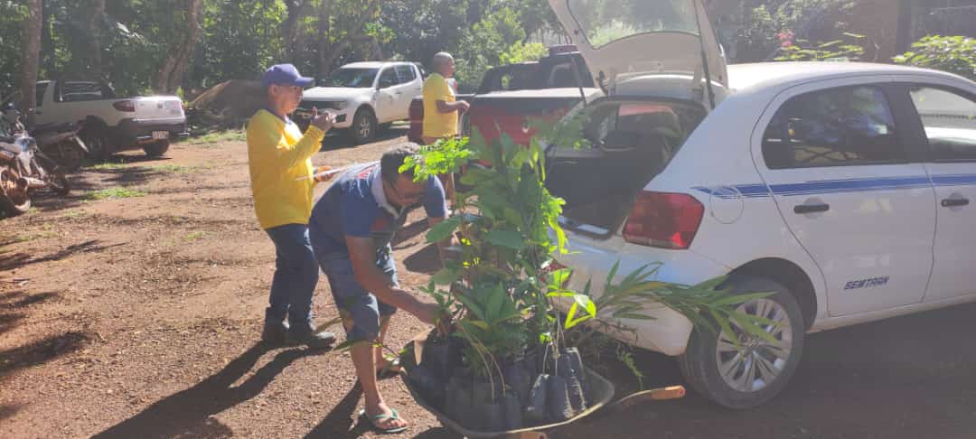 Entregas são feitas no Viveiro Municipal de Porto Velho, dentro do Parque Natural