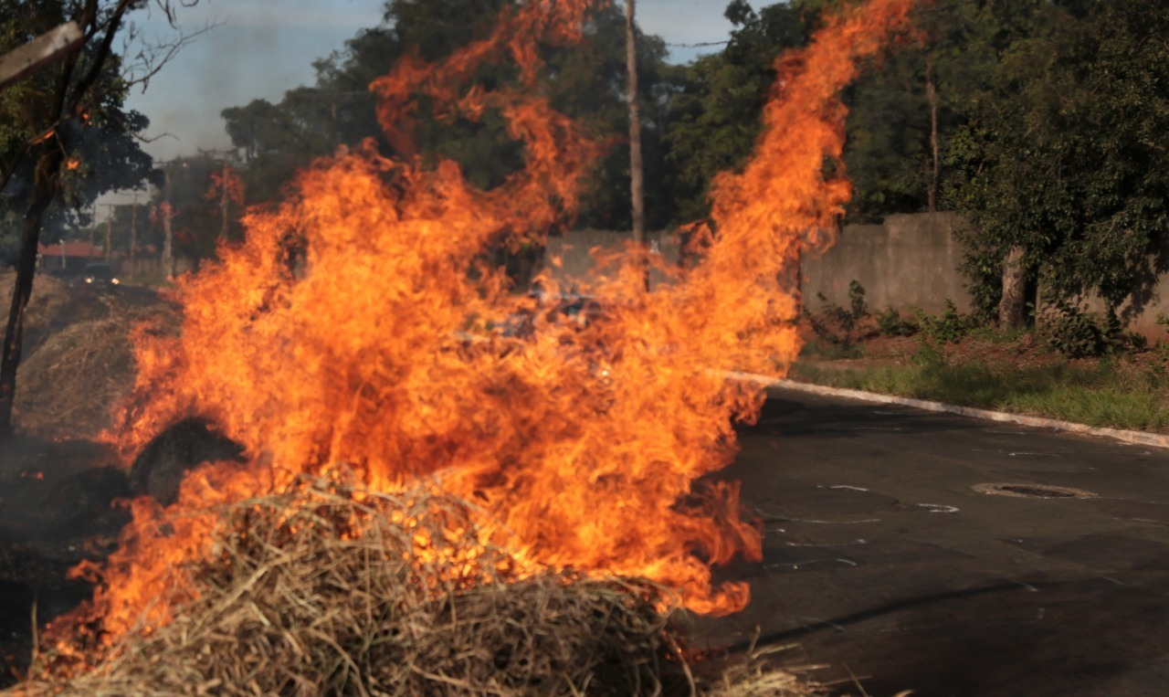 Sema intensificou as ações de fiscalização e educação ambiental